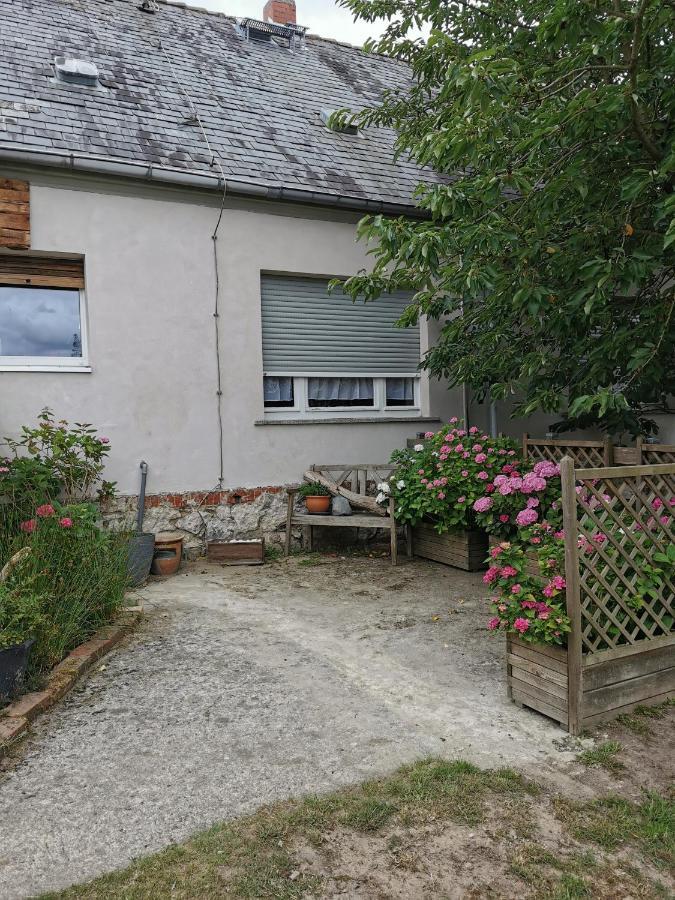 Scheunenhof Nebelin Apartman Kültér fotó